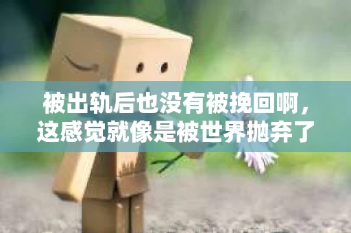 被出轨后也没有被挽回啊，这感觉就像是被世界抛弃了一样。我曾经也经历过这样的事情，那种心如刀割的痛，至今仍记忆犹新。今天，我想和大家聊聊这个话题，希望能给那些正在经历或者曾经经历过类似痛苦的人一些安慰和帮助。