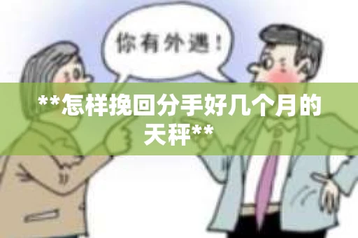 **怎样挽回分手好几个月的天秤**