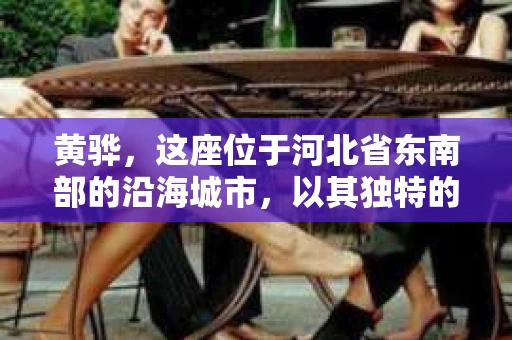 黄骅，这座位于河北省东南部的沿海城市，以其独特的地理位置和丰富的历史文化而闻名。然而，在这座城市中，还有一群人，他们以另一种方式默默守护着社会的公平与正义——私家侦探。今天，我们就来聊聊黄骅的私家侦探，看看他们是如何在这个城市中发挥作用的。