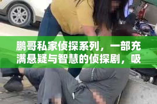 鹏哥私家侦探系列，一部充满悬疑与智慧的侦探剧，吸引了无数观众的眼球。今天，就让我带你走进这个充满神秘色彩的侦探世界，一起在线观看鹏哥私家侦探系列，感受那扣人心弦的故事情节。