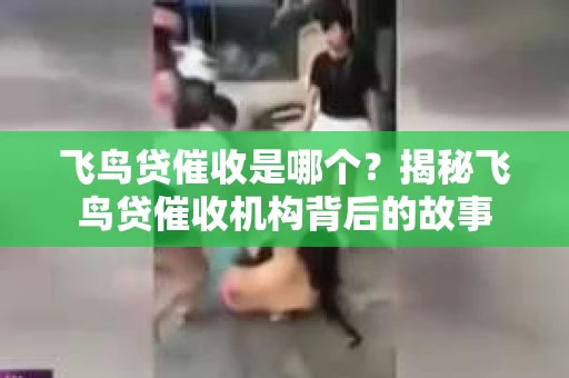 飞鸟贷催收是哪个？揭秘飞鸟贷催收机构背后的故事