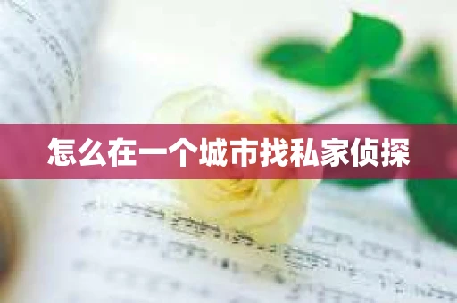 怎么在一个城市找私家侦探