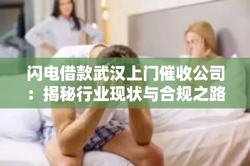 闪电借款武汉上门催收公司：揭秘行业现状与合规之路
