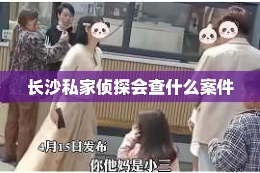 长沙私家侦探会查什么案件