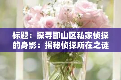 标题：探寻邯山区私家侦探的身影：揭秘侦探所在之谜