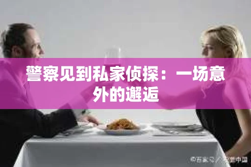警察见到私家侦探：一场意外的邂逅