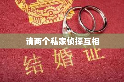 请两个私家侦探互相