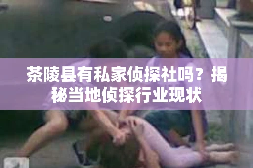 茶陵县有私家侦探社吗？揭秘当地侦探行业现状