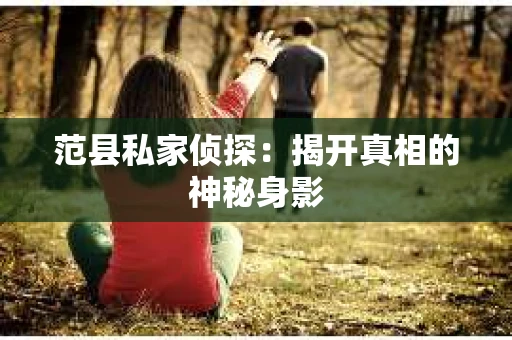 范县私家侦探：揭开真相的神秘身影