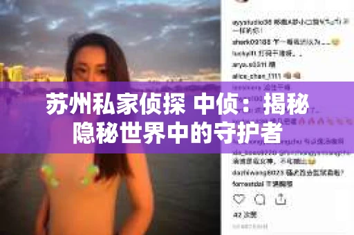 苏州私家侦探 中侦：揭秘隐秘世界中的守护者