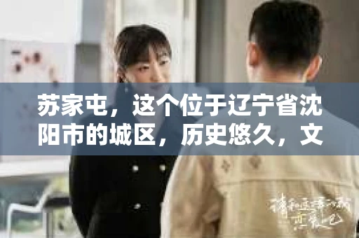 苏家屯，这个位于辽宁省沈阳市的城区，历史悠久，文化底蕴深厚。近年来，随着社会的发展，人们对于私家侦探的需求也逐渐增加。那么，苏家屯有私家侦探吗？今天，我们就来聊聊这个话题。