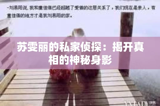 苏雯丽的私家侦探：揭开真相的神秘身影