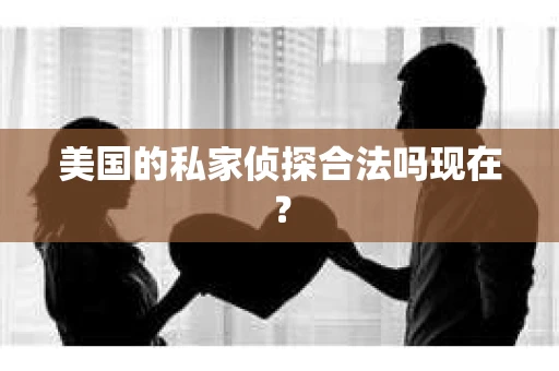 美国的私家侦探合法吗现在？