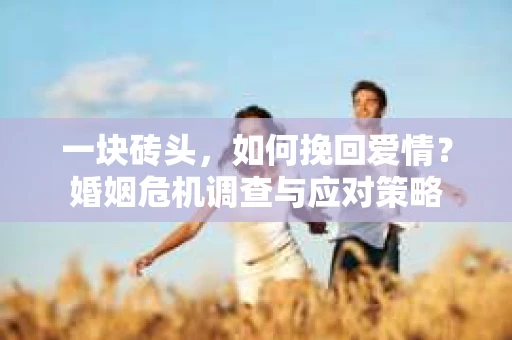 一块砖头，如何挽回爱情？婚姻危机调查与应对策略