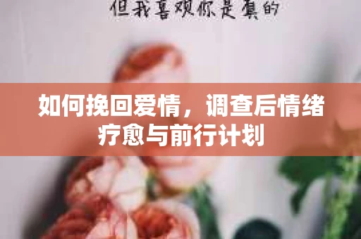如何挽回爱情，调查后情绪疗愈与前行计划