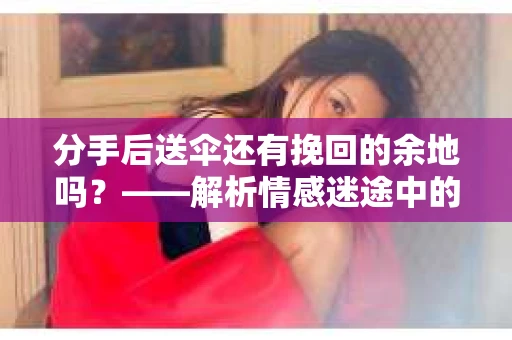分手后送伞还有挽回的余地吗？——解析情感迷途中的决策