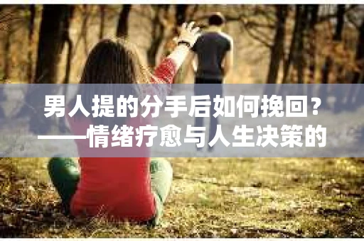 男人提的分手后如何挽回？——情绪疗愈与人生决策的干货指南
