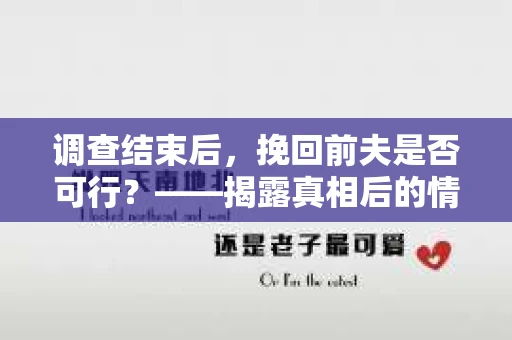 调查结束后，挽回前夫是否可行？——揭露真相后的情感疗愈与人生决策