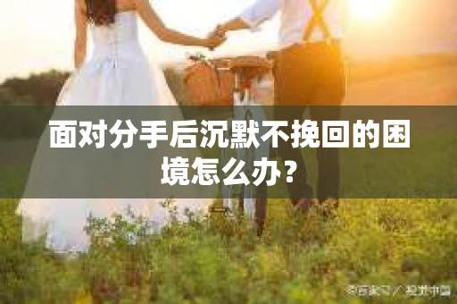 面对分手后沉默不挽回的困境怎么办？