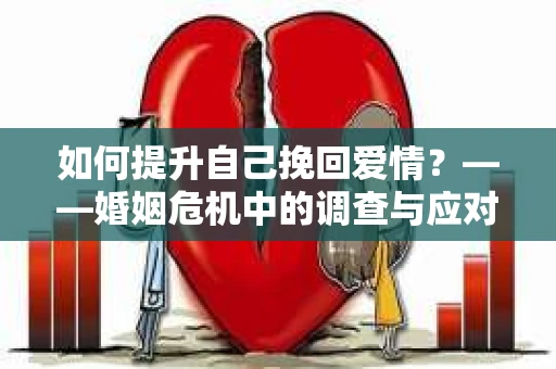如何提升自己挽回爱情？——婚姻危机中的调查与应对策略